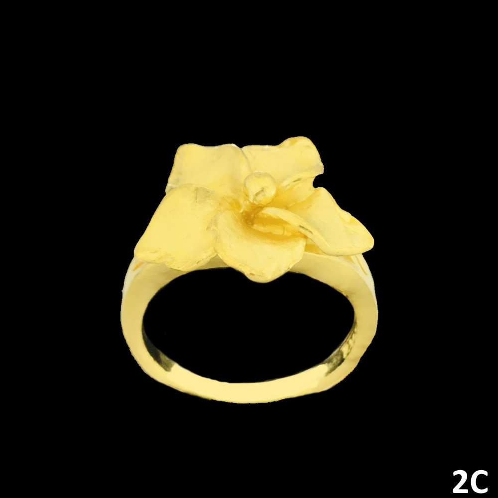 Z7P5